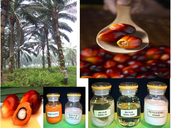 Applications of palm oil