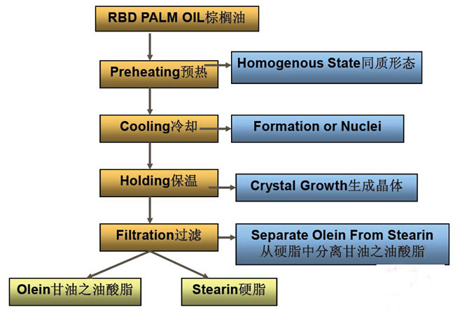 Palm oil fractionation process chart