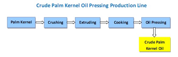 crude-palm-kernel-oil-pressing-production-line