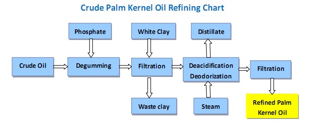 Processing of palm oil, palm kernel oil and fractionation process.