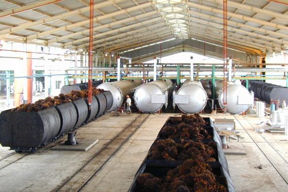 Palm oil mil process of sterilization