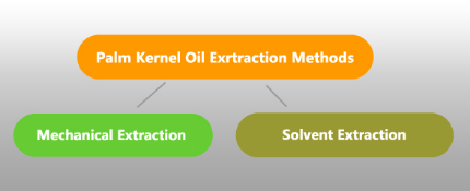 How many ways to extract palm kernel oil