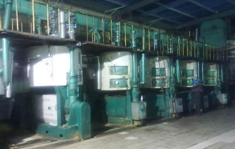 Castor Oil Processing