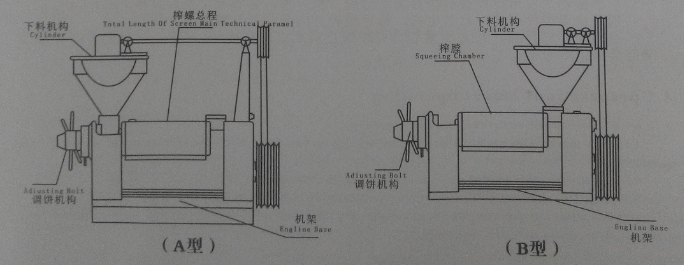 6YL series oil screw press machines Operation principle and structure