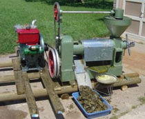 Canola Oil Press With Diesel Engine
