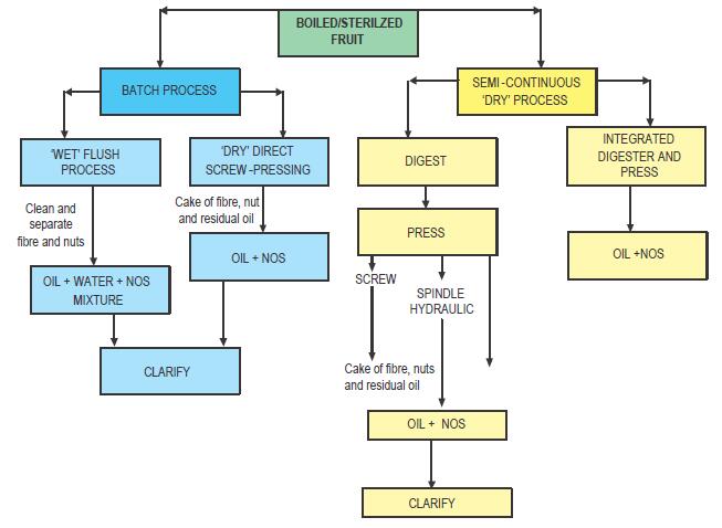 Palm Oil Process Equipment Design And Selection Criteria