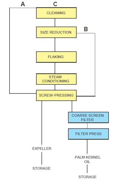 Mechanical extraction of palm kernel oil