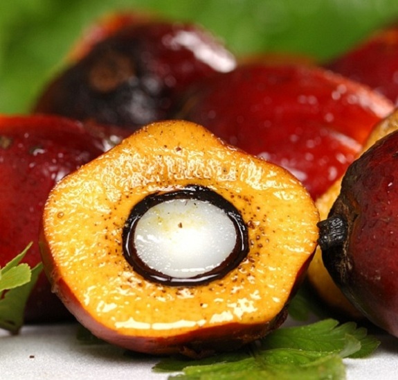 oil-palm-fruit-showing-kernel-edit