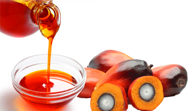 “palm kernel oil